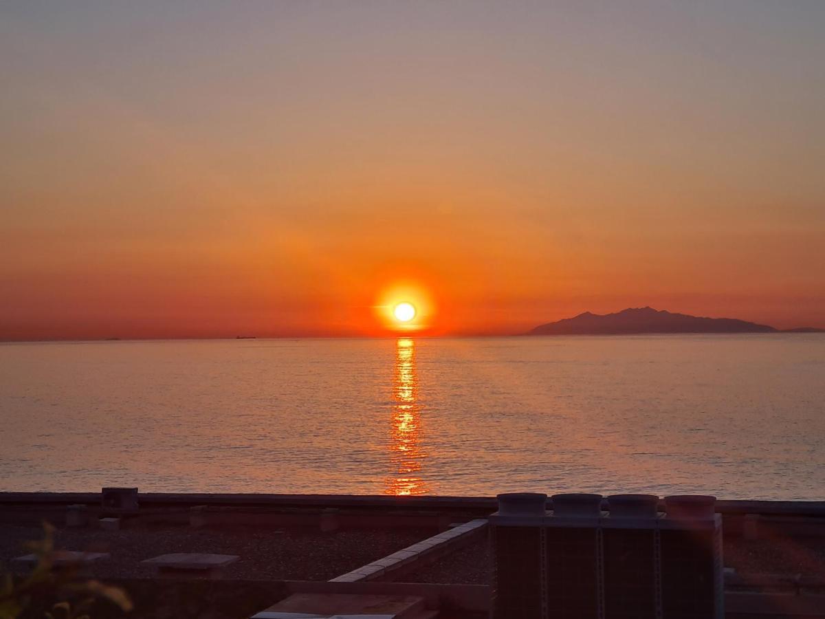 Corse, Residence Marina Di Bravone, Acces Direct Plage Linguizzetta Exteriér fotografie